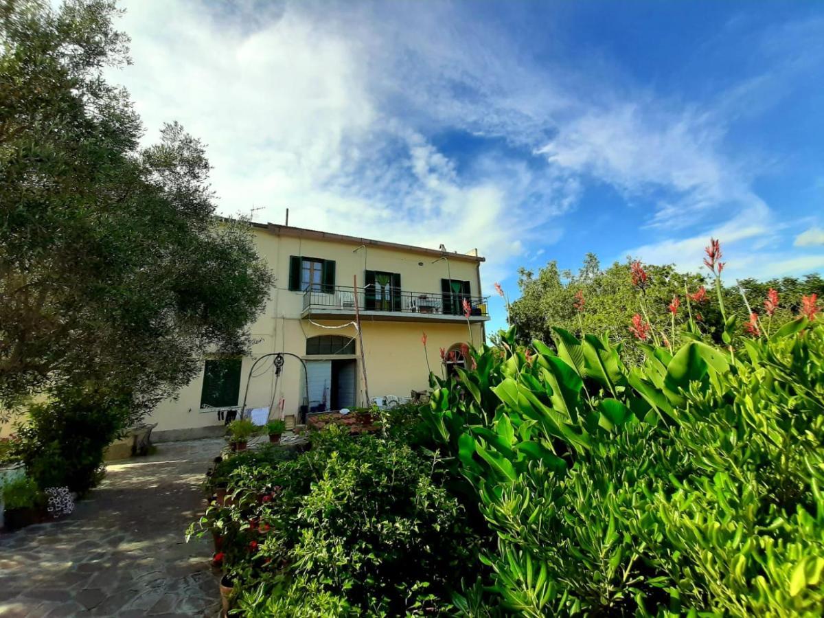 Villa Very II مارينا دي كامبو الغرفة الصورة